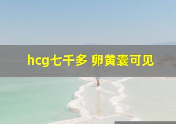 hcg七千多 卵黄囊可见